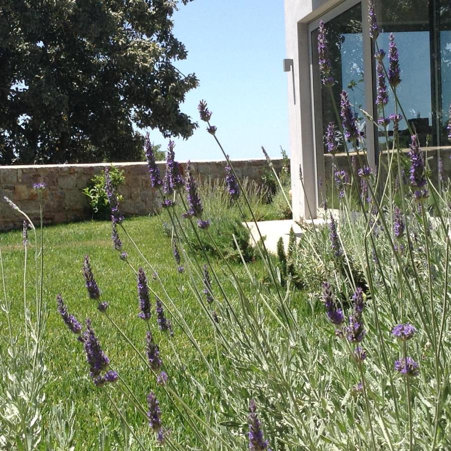 Lidea Boutique Hotel Potamos  Экстерьер фото
